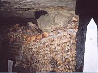 Много костей!